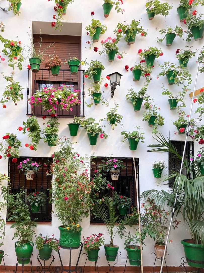 flower pots on the wall in Cordoba