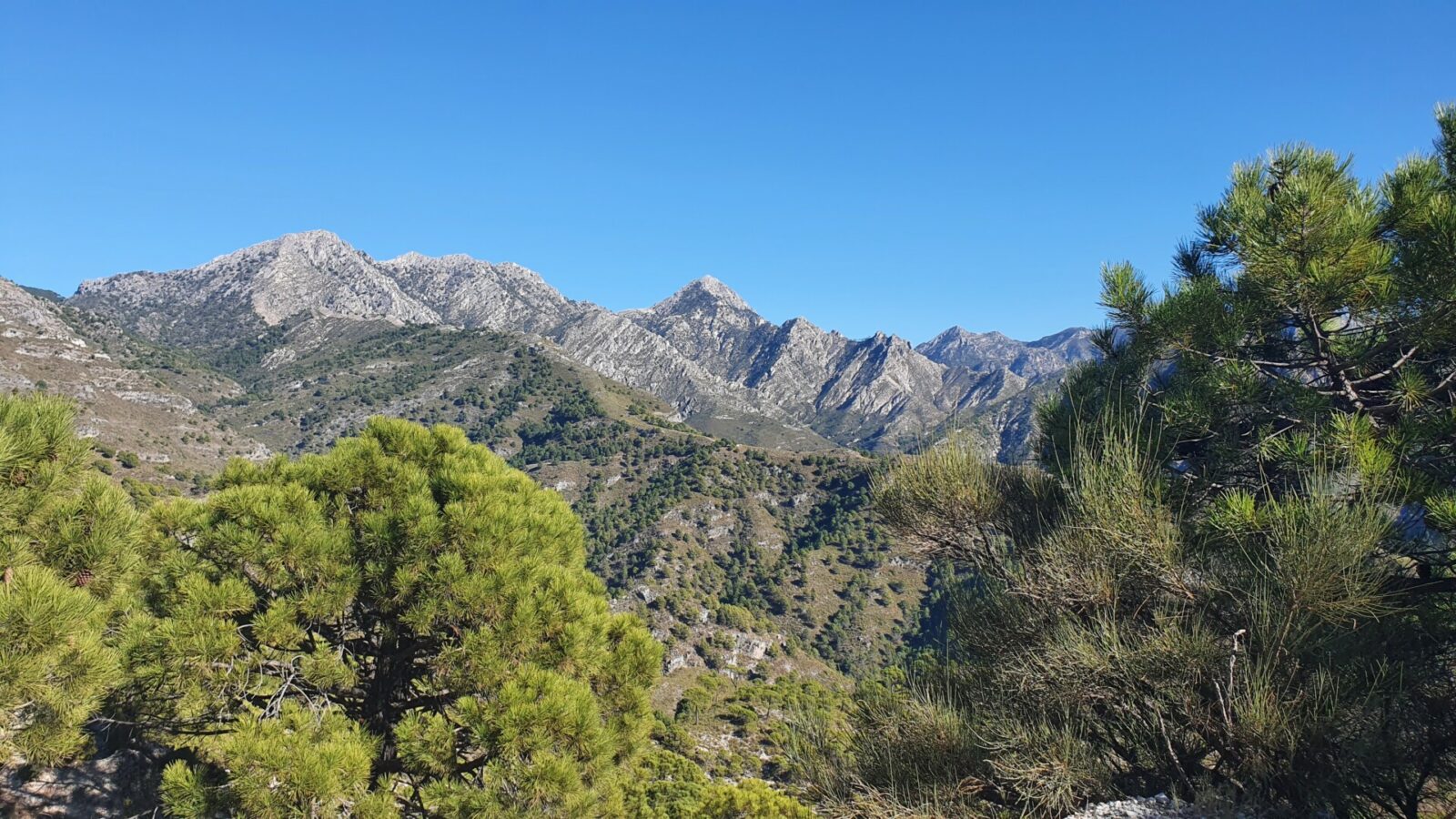 Sierra Almijara view