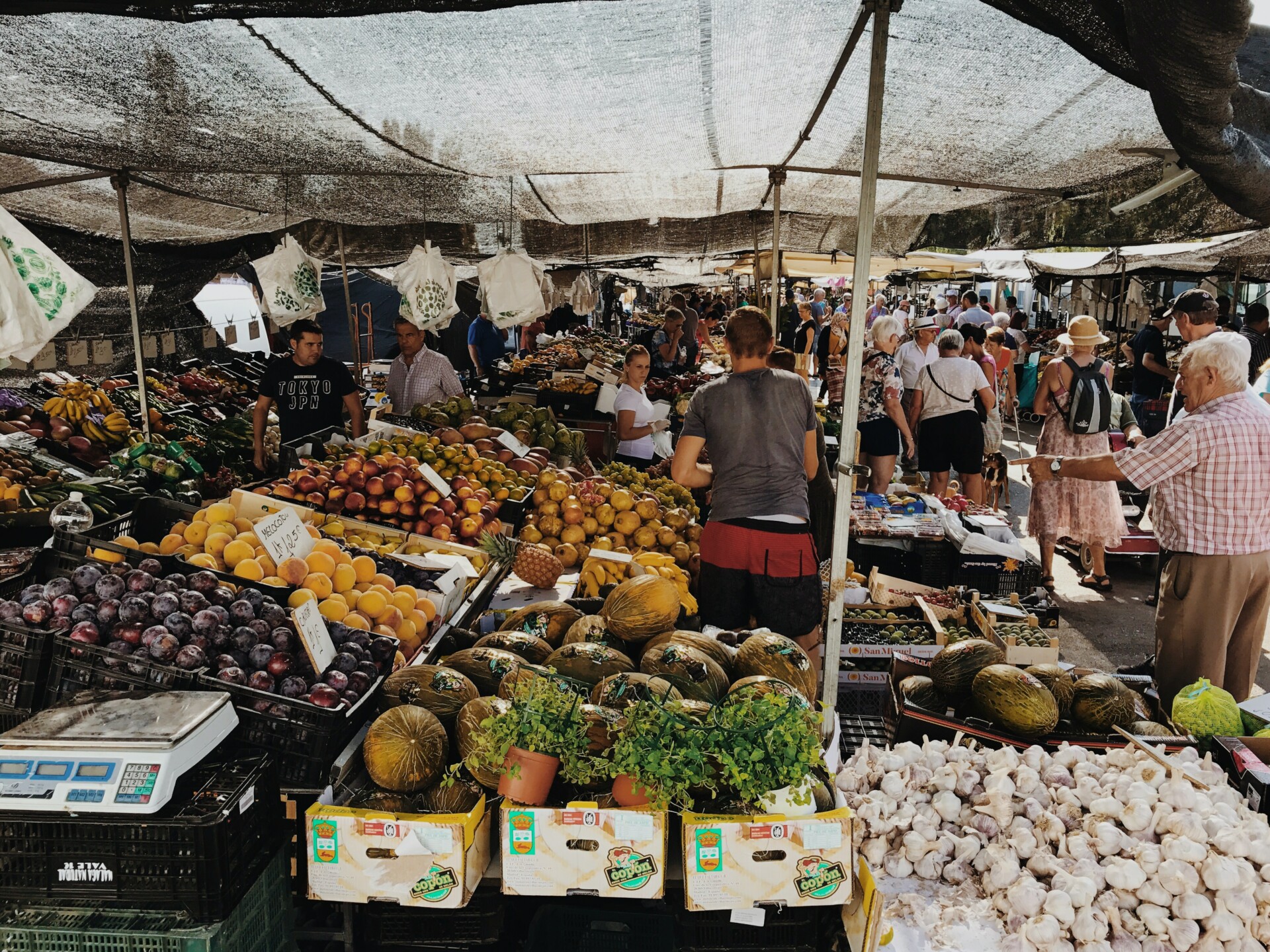 Market in the Axarquia