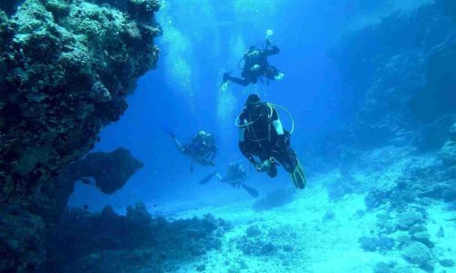 Group of scuba divers